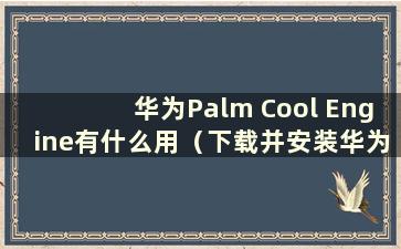 华为Palm Cool Engine有什么用（下载并安装华为Palm Cool Engine）